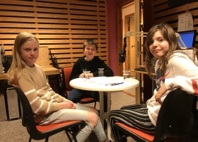 LAG HALLINGSKARVET