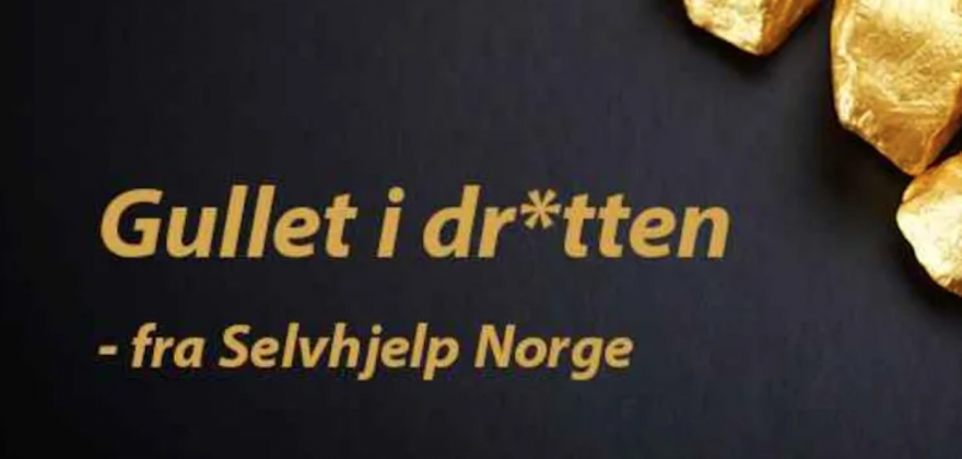 Gullet i dr*tten: Ansatte ved Sykehuset i Vestfold