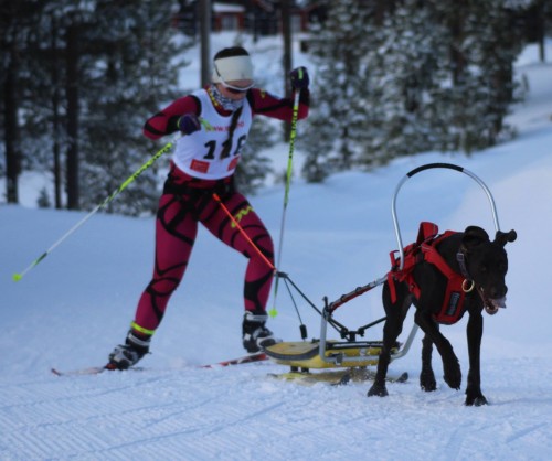 !Kjring med pulk. (Foto: Lena Boysen Hillestad)