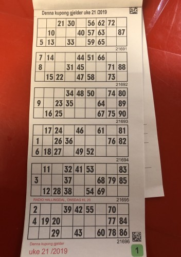 ! NB!! Hele arket må være med på bildet for å få bingoen godkjent.