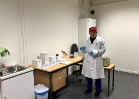 lab