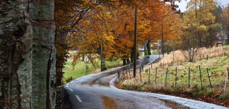 Nei til å nekte fri ferdsel på landbruksveg Nei til å nekte fri ferdsel på landbruksveg