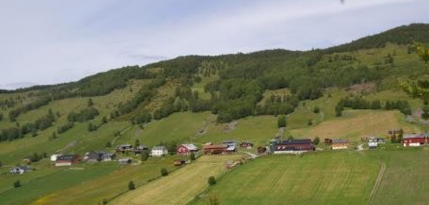 Slik skal Leveld takast vare på og utviklast vidare Slik skal Leveld takast vare på og utviklast vidare