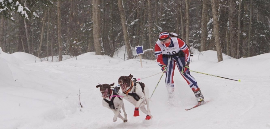 Bronse til Anne Marte Løvstuen  Bronse til Anne Marte Løvstuen