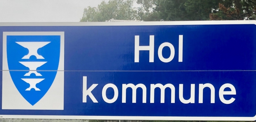 Coronatiltak i Hol kommune